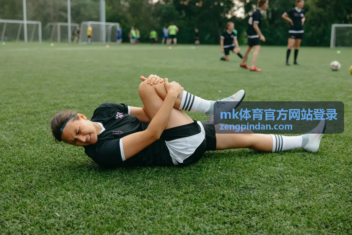 mk体育官方网站登录 签到徽章任务预览