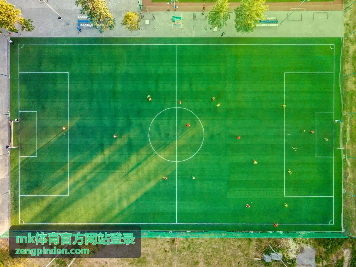 mk体育官方网站登录 安全徽章任务预览